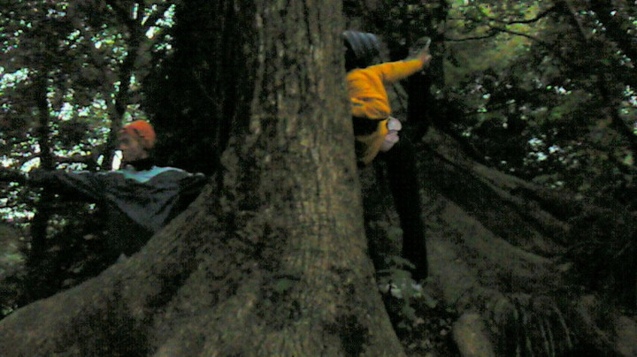 初日の出