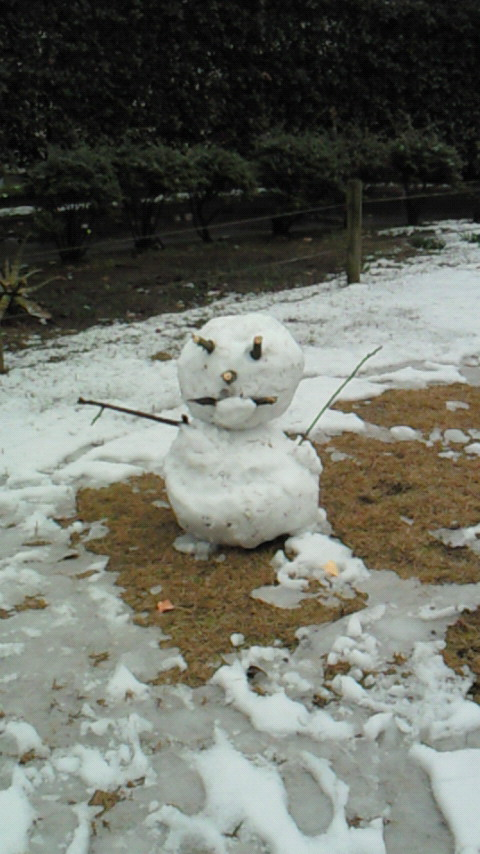 雪