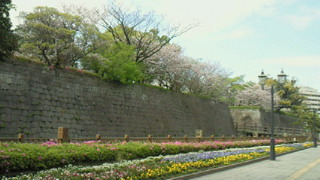 春爛漫