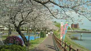 新スケジュール