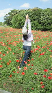 緑と花