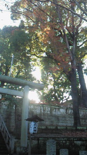 また、やってしまいました