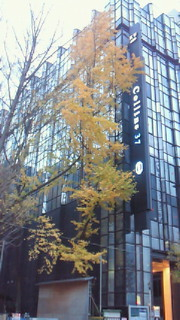 マイッタ(<br />
 ＞＜)