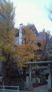 マイッタ(<br />
 ＞＜)