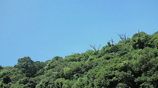 OLMECA