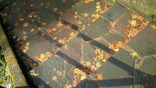渓谷散策〜高千穂神社