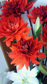 好きな花は？