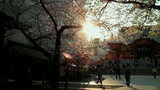 花見