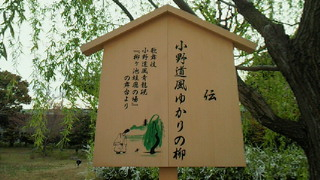 東寺の庭