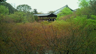 大好きな東福寺