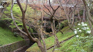 大好きな東福寺