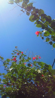 今日の空