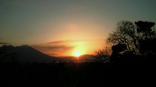 Happy Morning