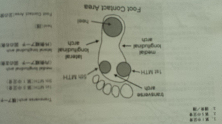 SOLE