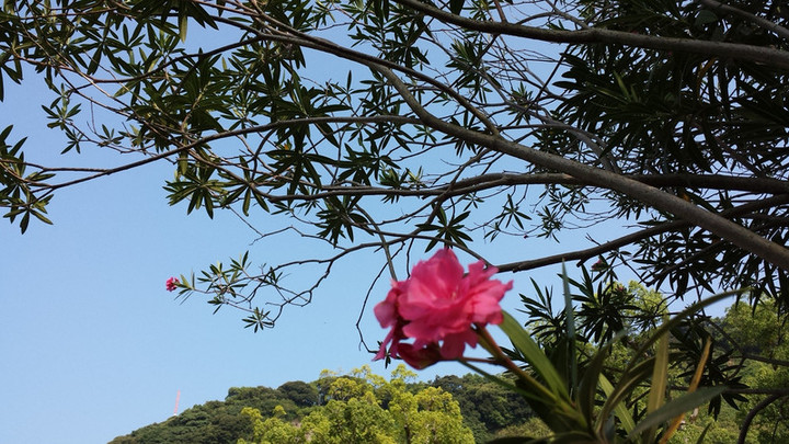 休日