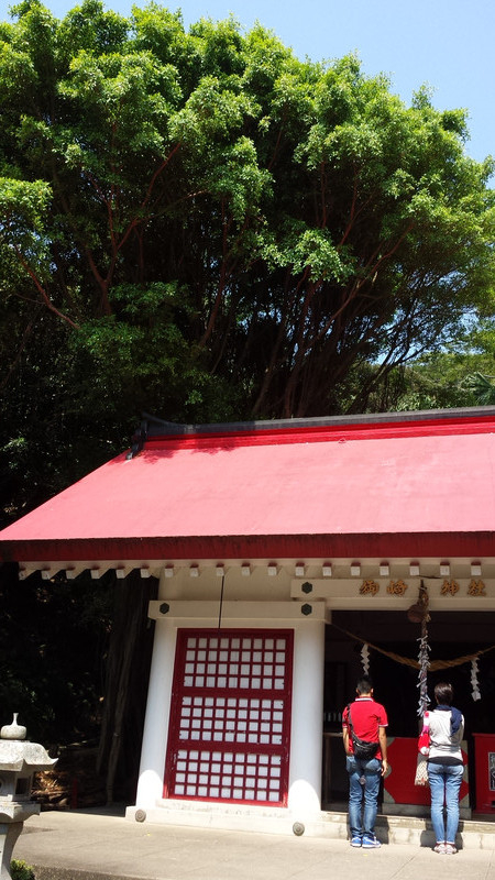 佐多岬