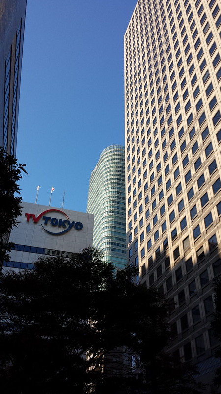朝