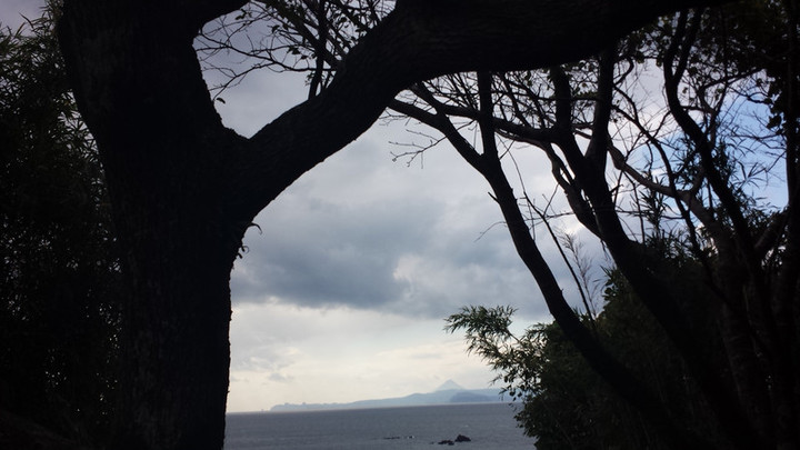 海が見えるお墓