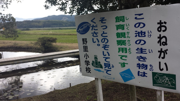 野里