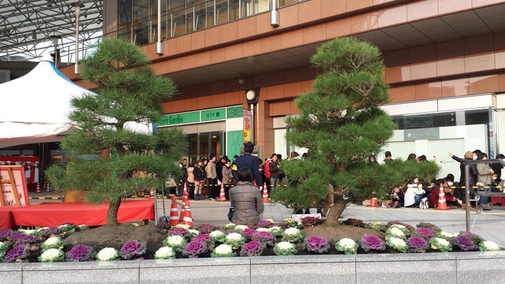 新年