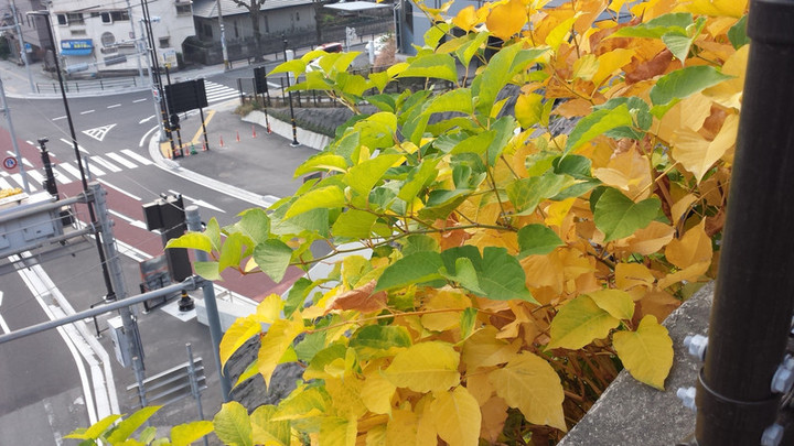 明日から仕事初め