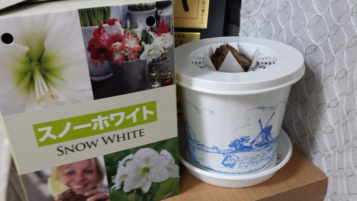 ムーンディ忘れて