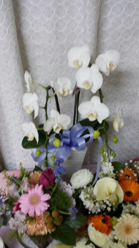 日程変更