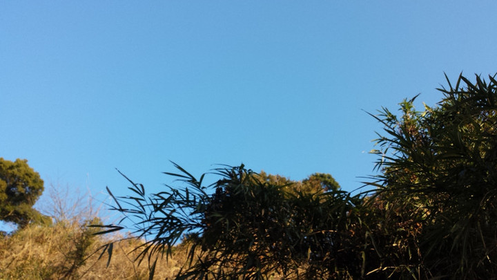 今朝の空