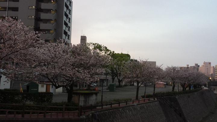雨のおかげさま