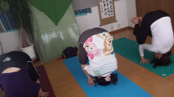 今日も充実