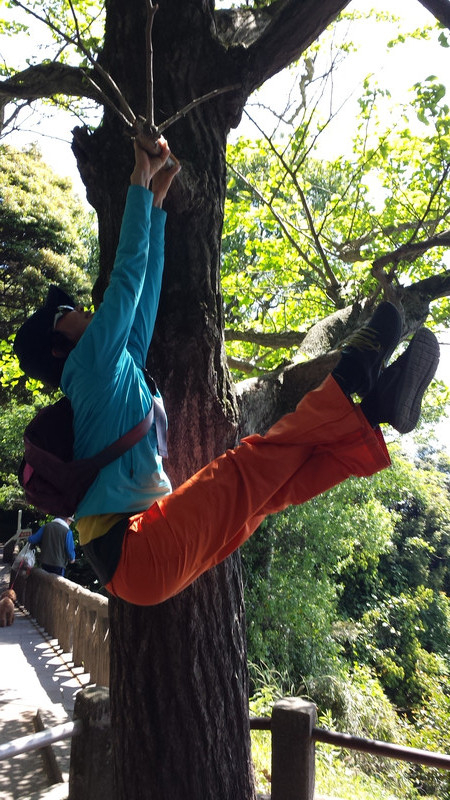 山〜バレトン