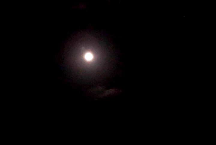 昨夜のフルムーン
