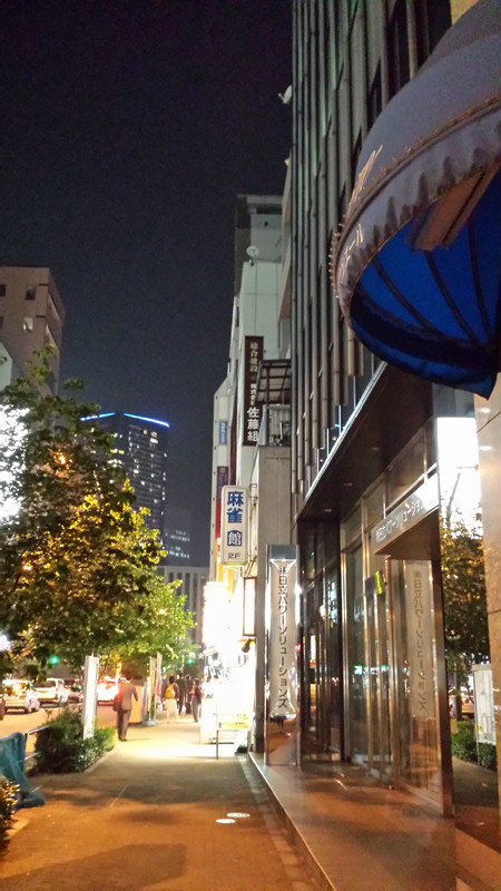 adidas YOGAの後東京へ