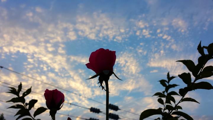夕刻の空
