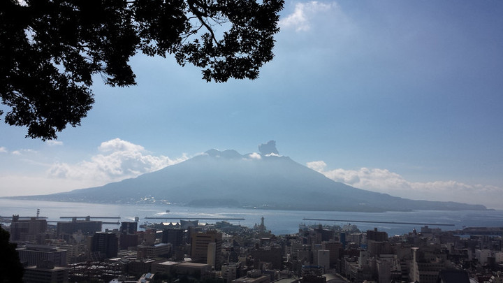 昨日の朝