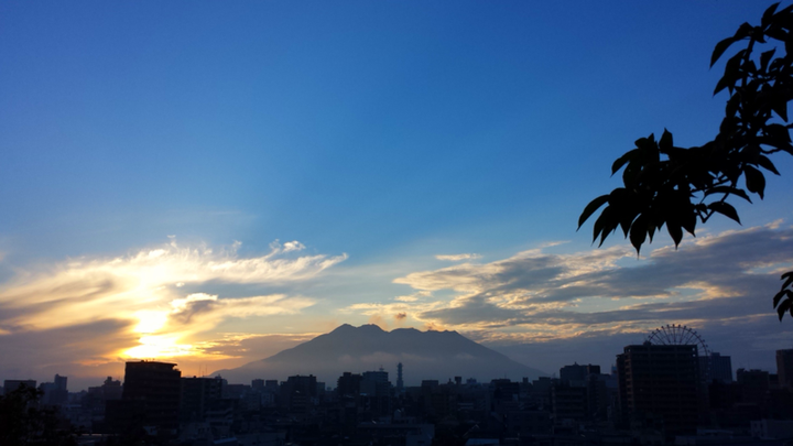 夏日の水曜