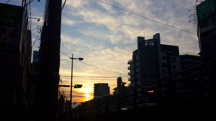 今朝の光