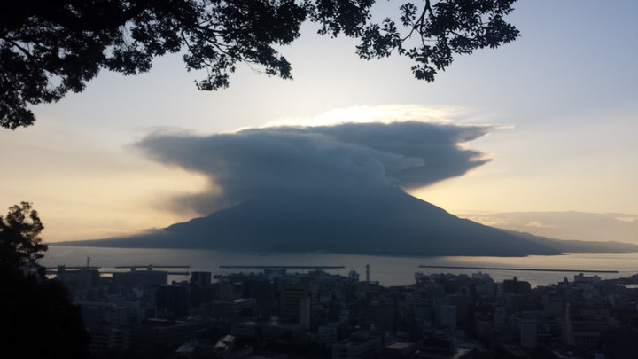 毎日元気