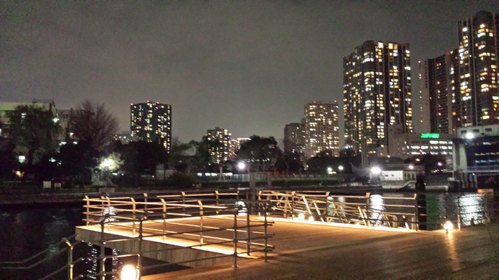 東京も暖かい