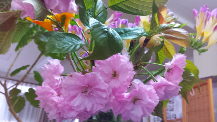 八重桜