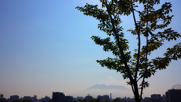 今月
