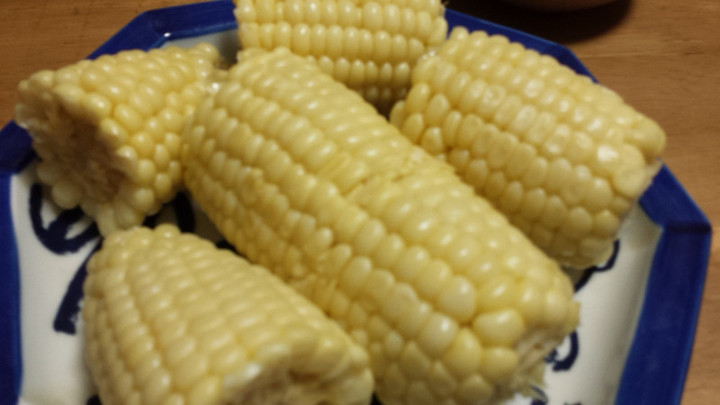 今日もパワフル