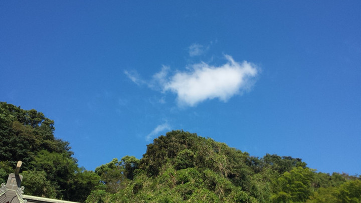 朝、瞑想ならぬ妄想