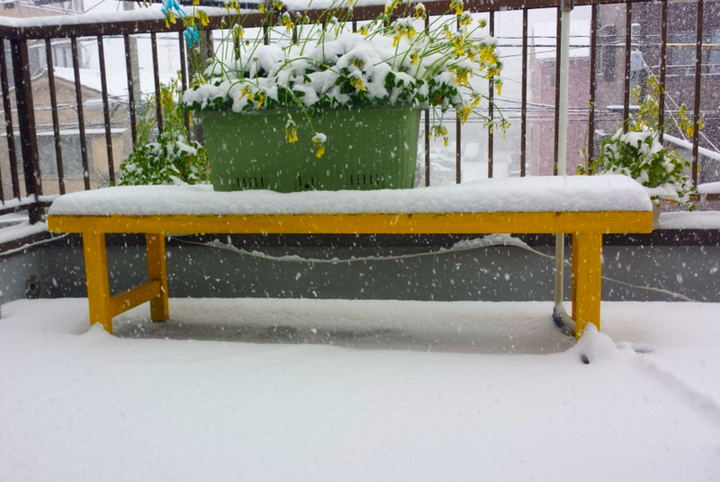 大雪