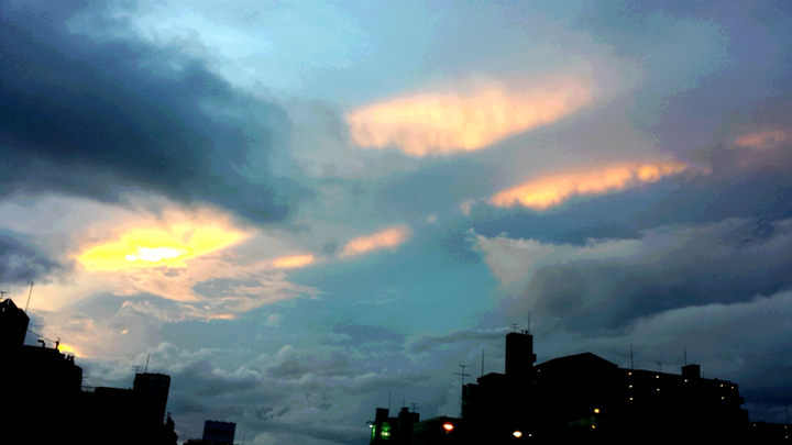 朝