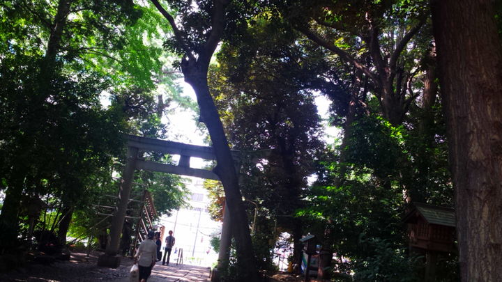 代々木八幡宮から、恵比寿ガーデンプレイス