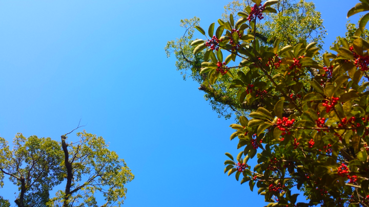 冬の空？