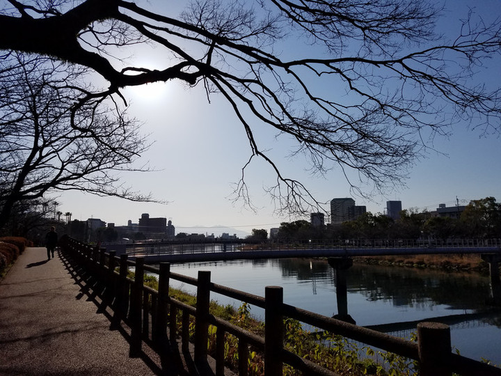 身体の声
