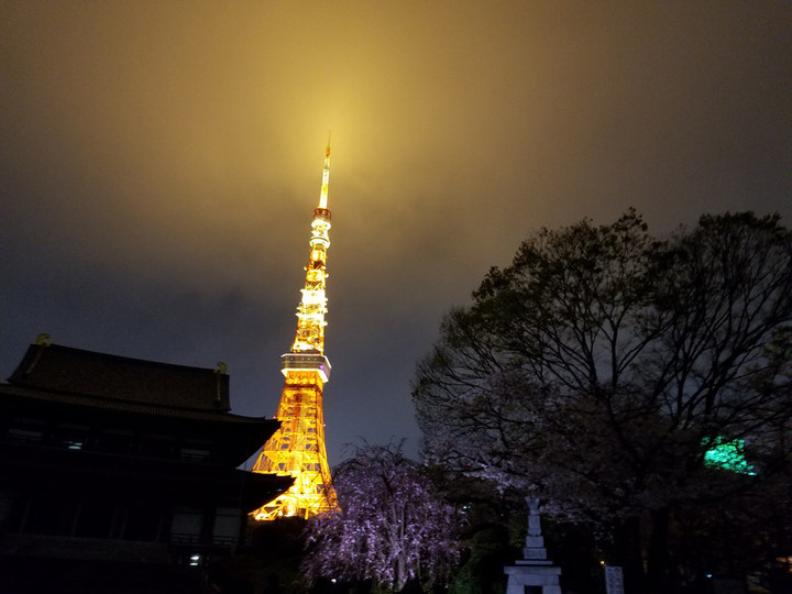 桜とタワー
