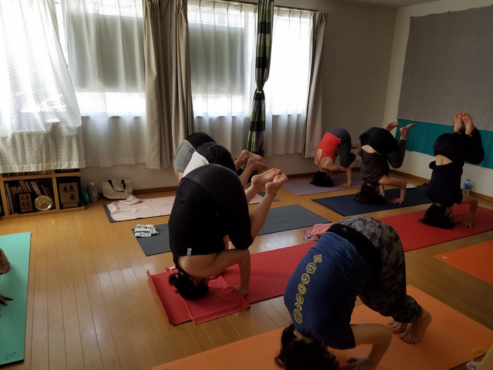 日曜バンブー